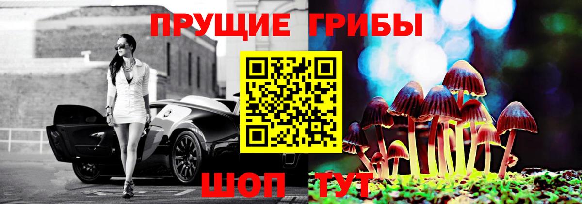 цены   Вход с VPN  Керчь  Псилоцибиновые грибы Psilocybe 
